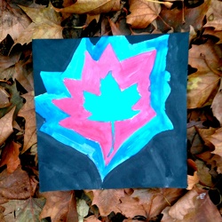 Klasse 4a Schuljahr 2016/17