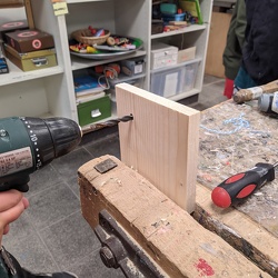 Projekt: Wir werden Vogelschützer:innen an der Reinhardswald-Grundschule